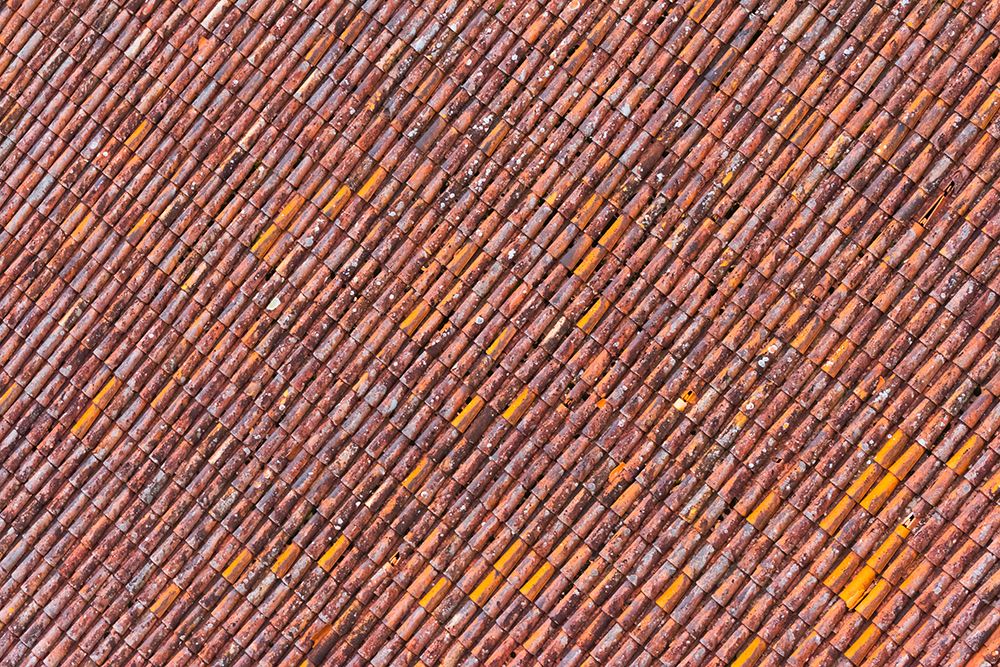 Red tile roof of Turaida Castle-Turaida-Latvia